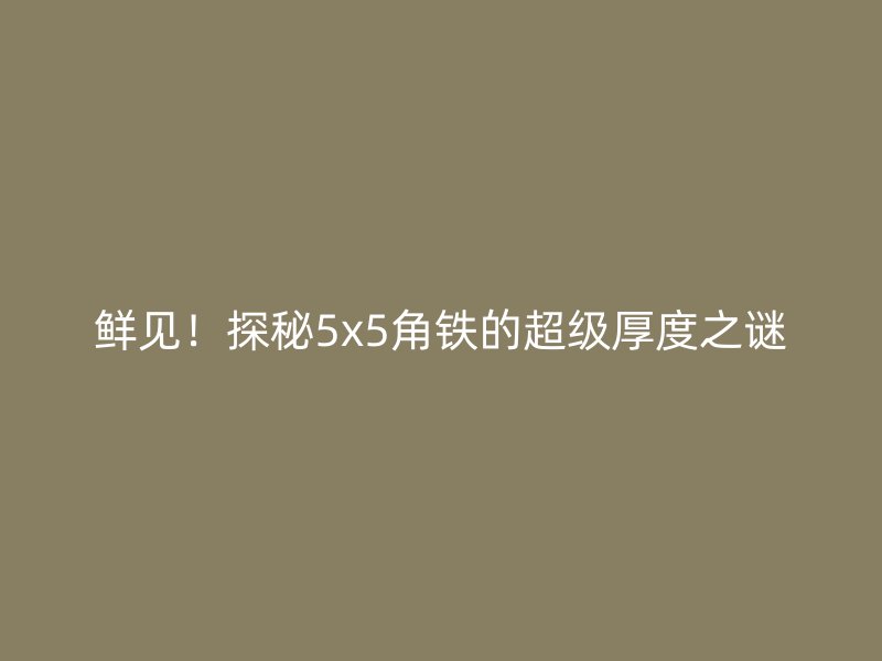 鮮見！探秘5x5角鐵的超級(jí)厚度之謎