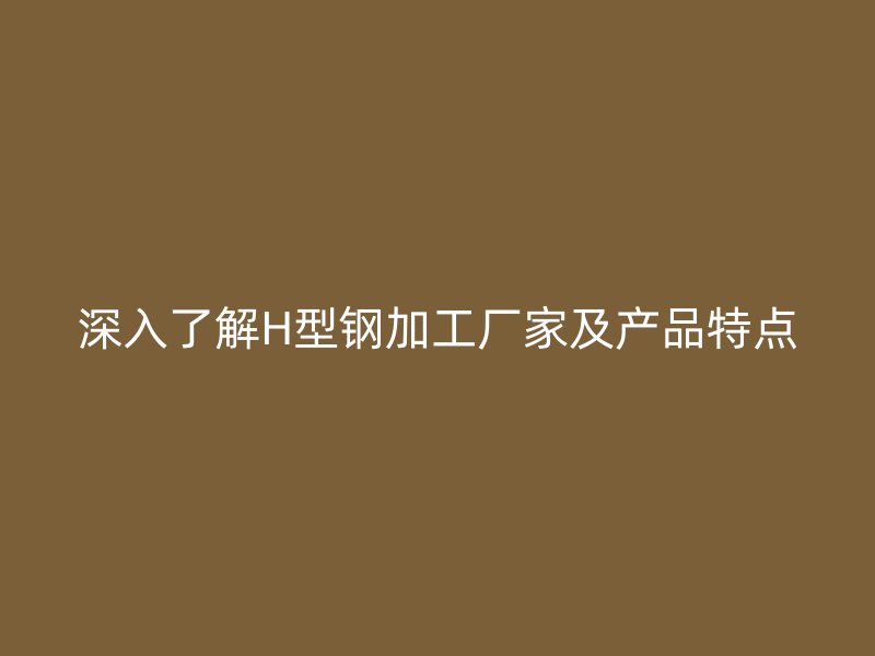深入了解H型鋼加工廠家及產(chǎn)品特點(diǎn)