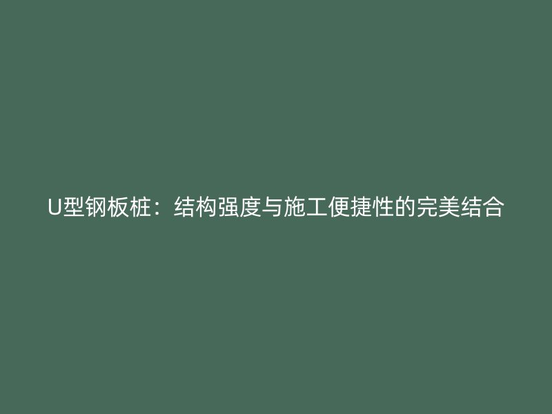 U型鋼板樁：結(jié)構(gòu)強(qiáng)度與施工便捷性的完美結(jié)合